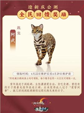 天龙八部私服王者手册